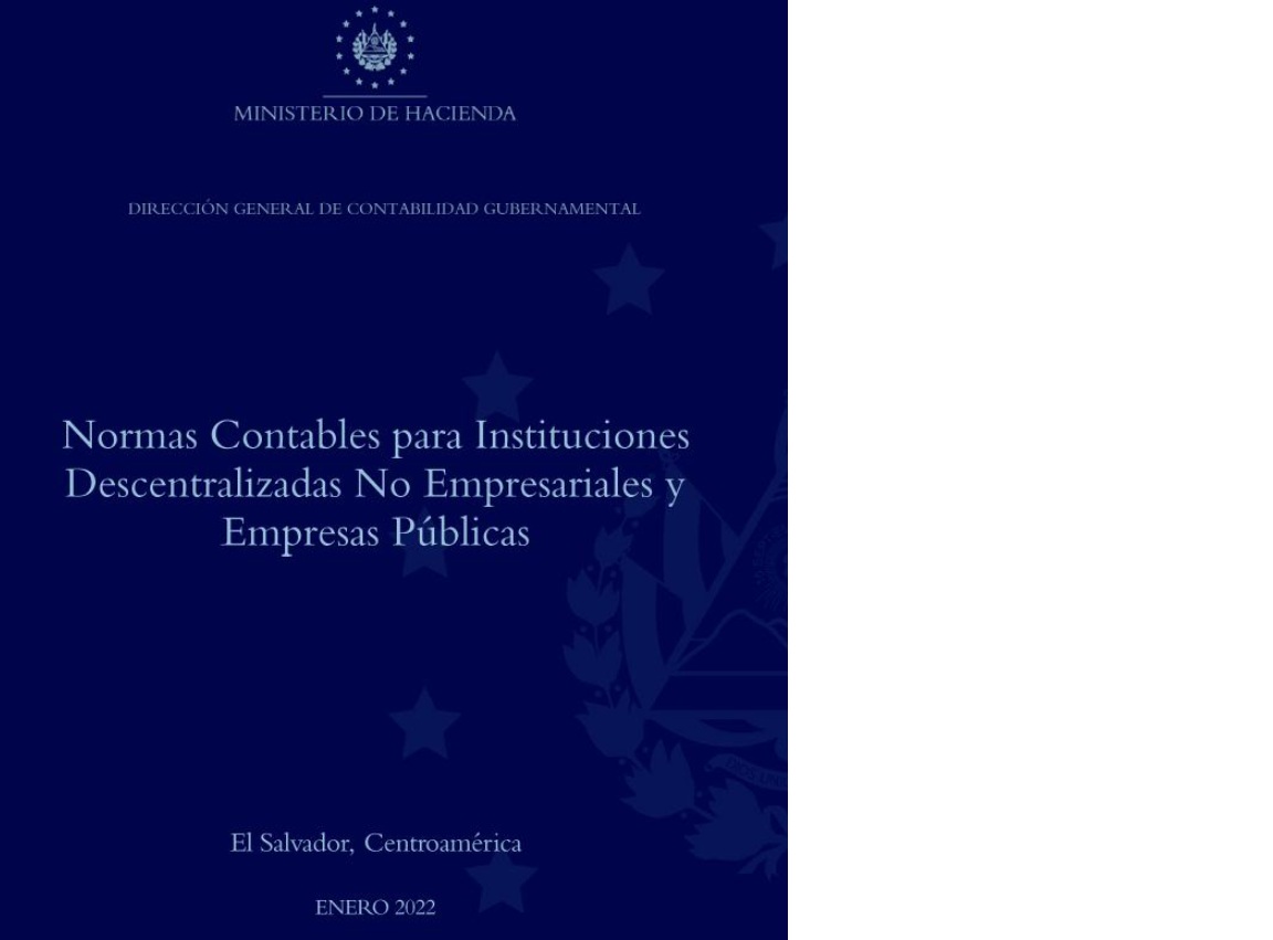 Normas Contables para Instituciones Descentralizadas No Empresariales y Empresas Publicas